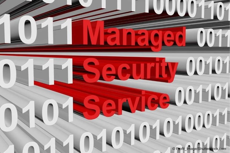 Was sind Managed Security Service?