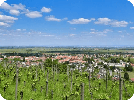Regionale-KMU