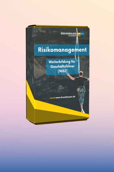 Risikomanagement-Videokurs