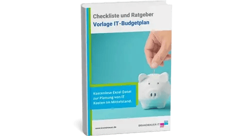 Vorlage-IT-Budgetplan-Buchcover-500-281